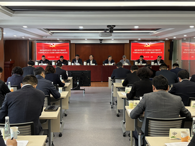 國藥集團黨委召開學習貫徹習近平新時代中國特色社會主義思想主題教育總結會議